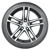 Nokian Surpass AS01 Sidewall